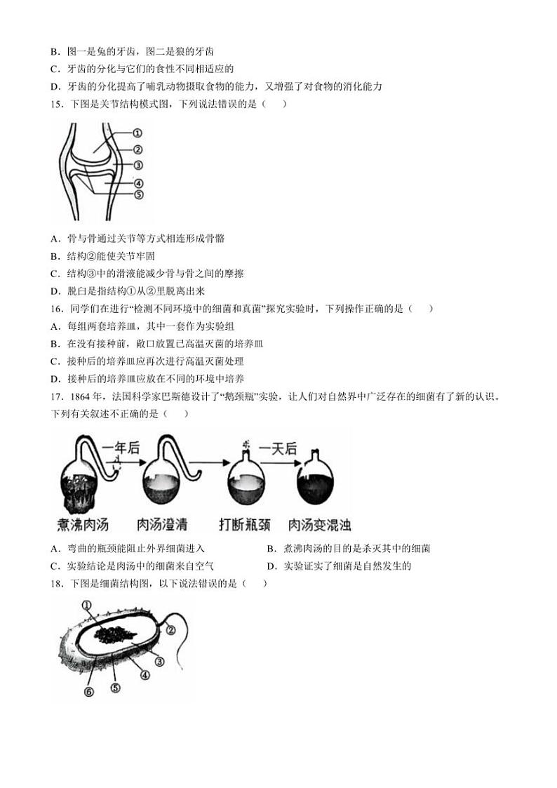 河南省周口市商水县2024～2025学年八年级(上)期中生物试卷(含答案)第3页