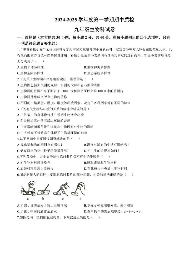 广东省揭阳市榕城区2024～2025学年九年级(上)期中生物试卷(含答案)01