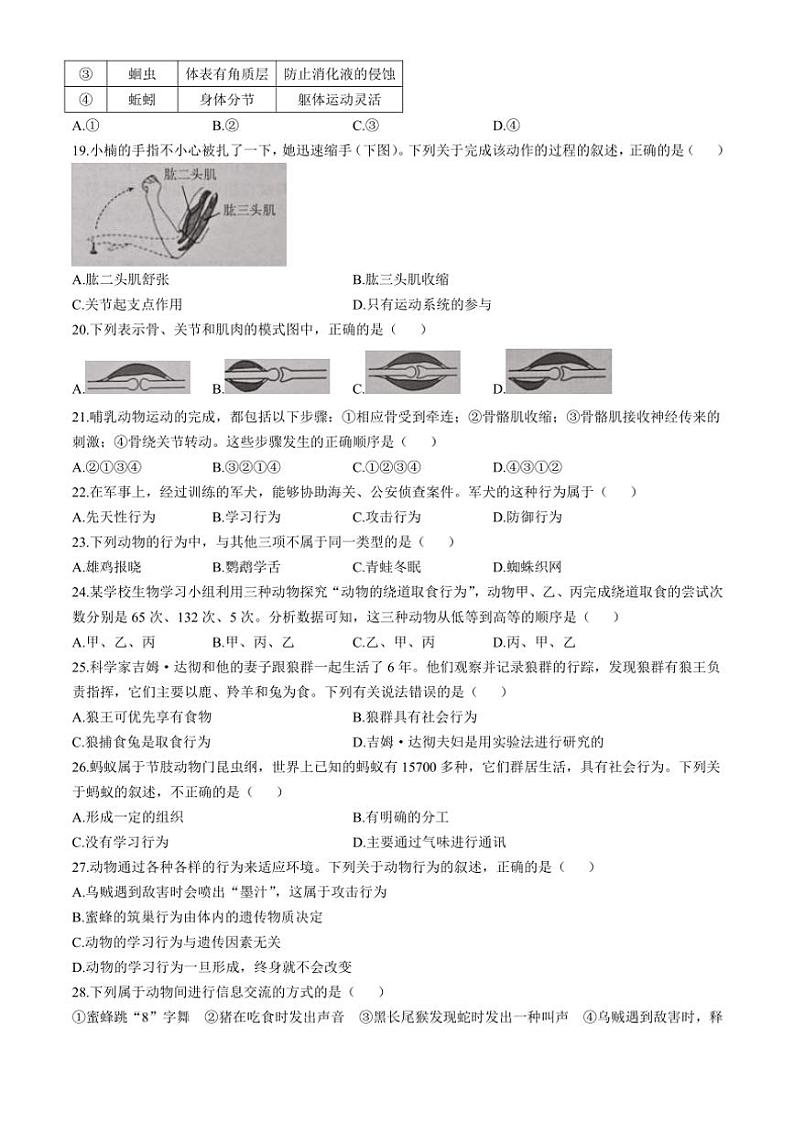 云南省昭通市巧家县2024～2025学年八年级(上)期中生物试卷(含答案)03