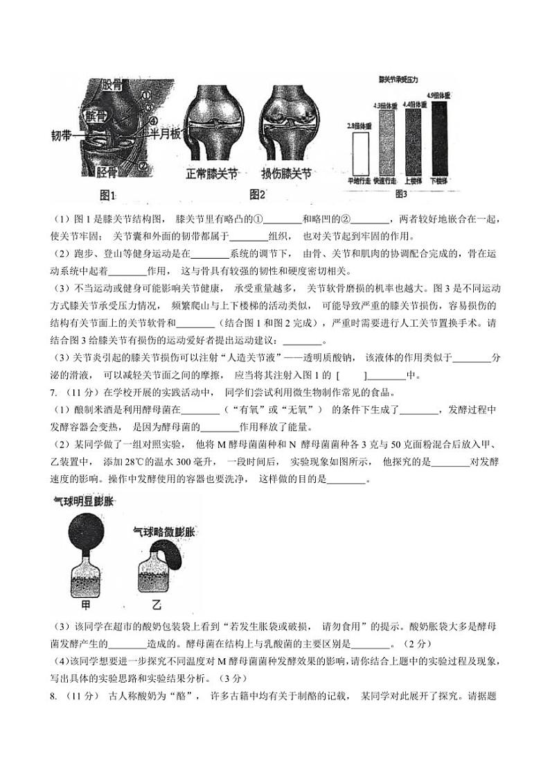内蒙包头市青山区联考2024～2025学年八年级(上)期中生物试卷(含答案)第2页