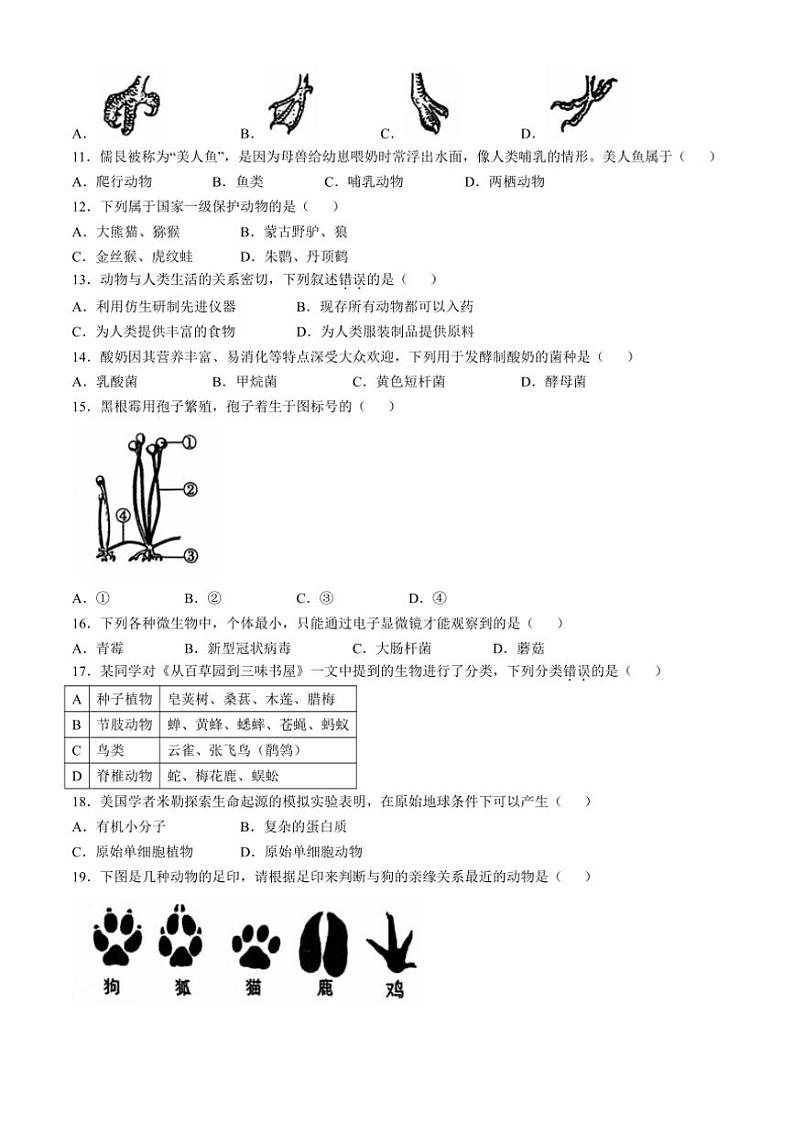 江苏省常州市金坛区2024～2025学年八年级(上)期中生物试卷(含答案)第2页