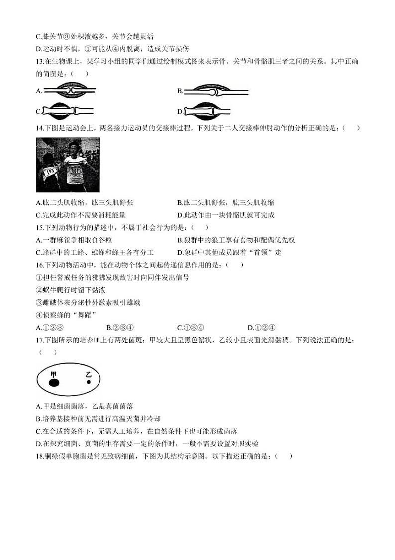 陕西省西安市长安区2024～2025学年八年级(上)期中生物试卷(含答案)第3页