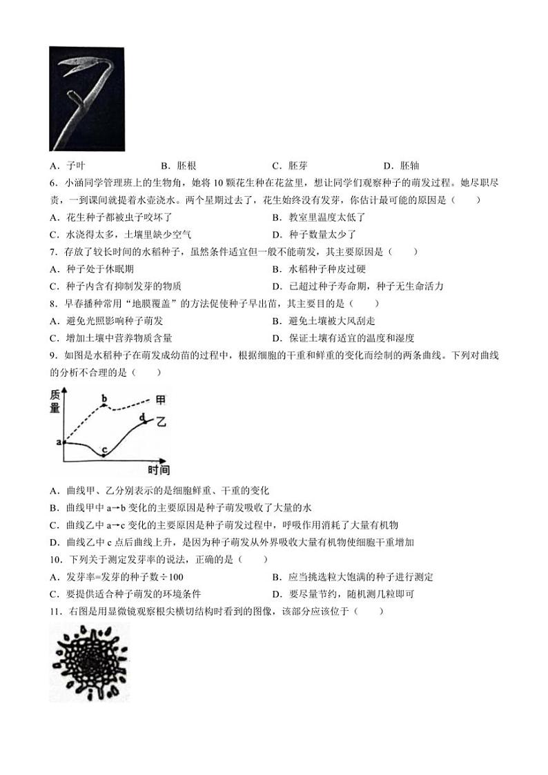 河北省保定市竞秀区2024～2025学年八年级(上)期中生物试卷(含答案)第2页