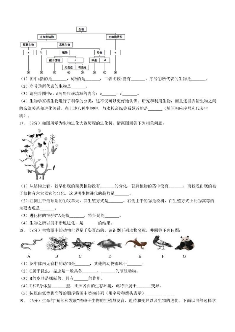 辽宁省鞍山市海城市东部集团2024～2025学年八年级(上)期中生物试卷(含答案)第3页