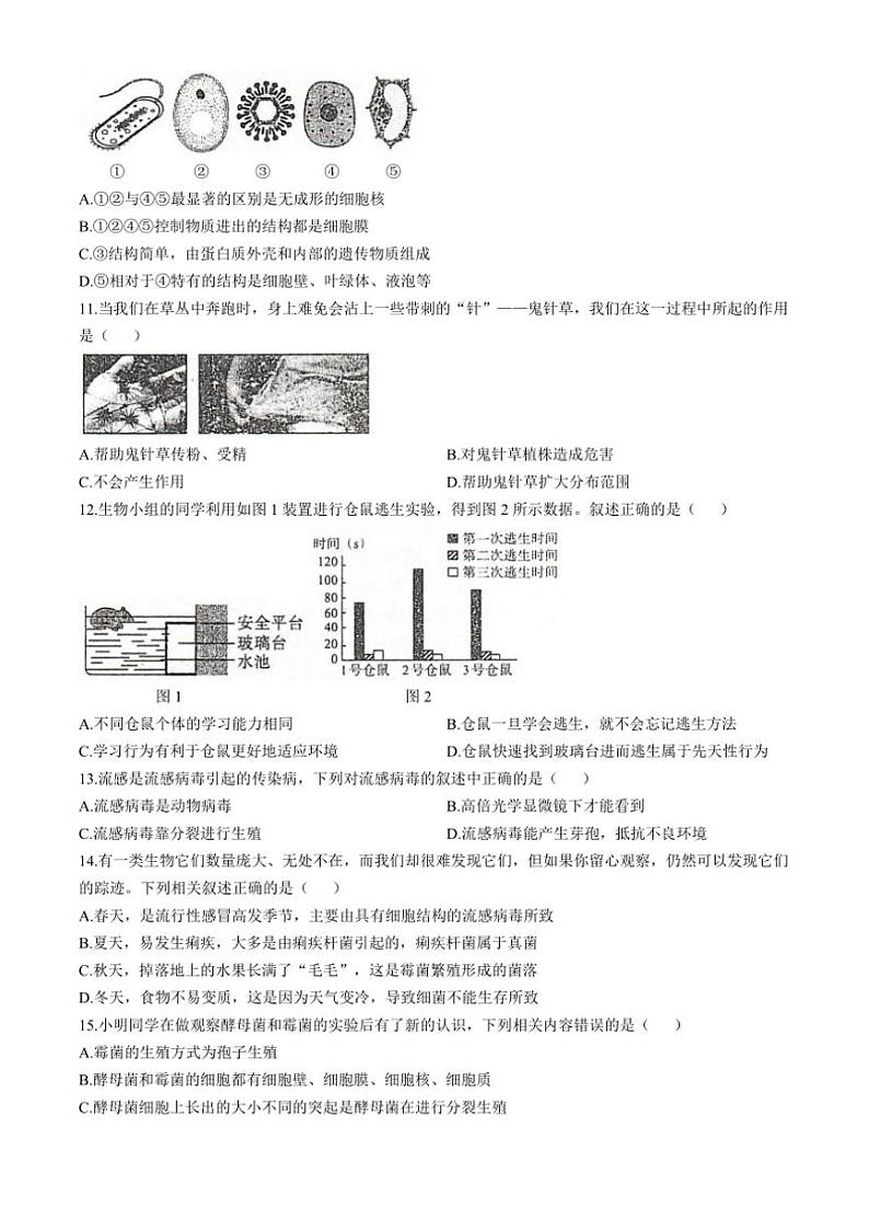 河南省安阳市滑县2024～2025学年八年级(上)期中生物试卷(含答案)02