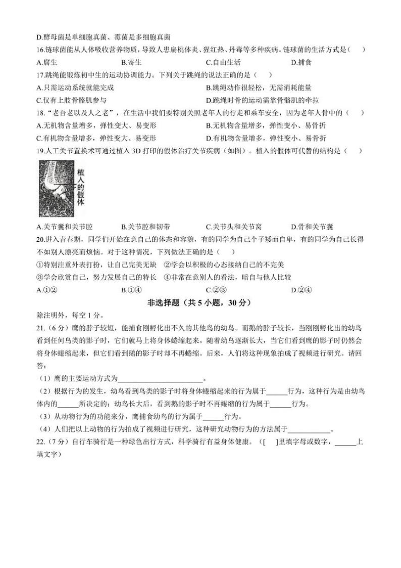 河南省安阳市滑县2024～2025学年八年级(上)期中生物试卷(含答案)03