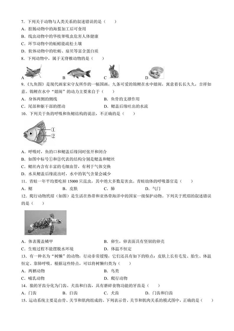 云南省曲靖市2024～2025学年八年级(上)期中生物试卷(含答案)第2页