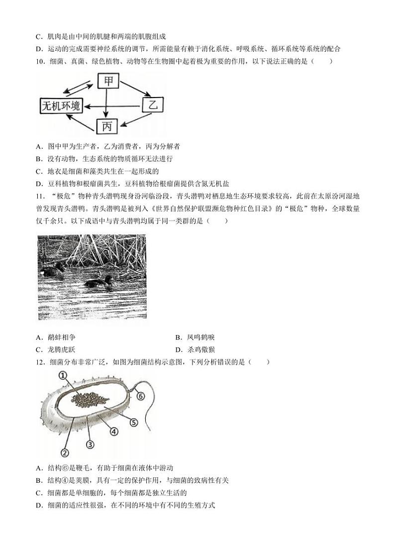 山西省临汾市2024～2025学年八年级(上)期中生物试卷(含答案)第3页
