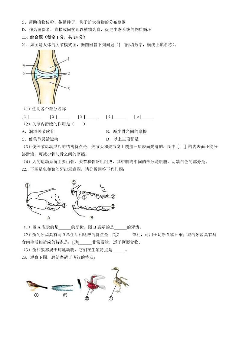 重庆市大足区邮亭中学等五校2024～2025学年八年级(上)期中生物试卷(含答案)第3页