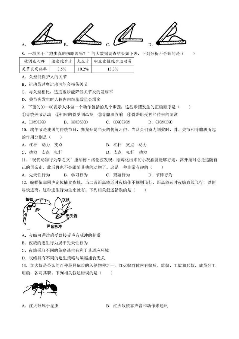 山东省济南市莱芜区2024～2025学年八年级(上)期中生物试卷(含答案)第2页