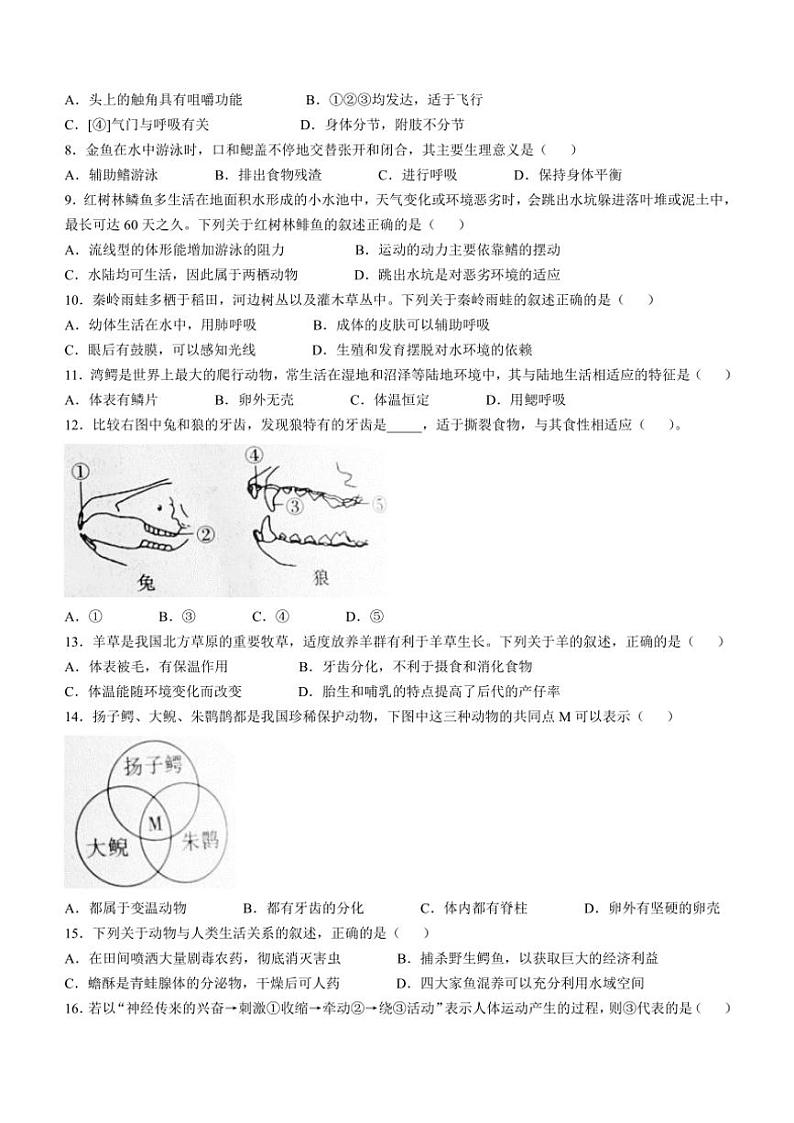 陕西省神木市2024～2025学年八年级(上)期中生物试卷(含答案)第2页