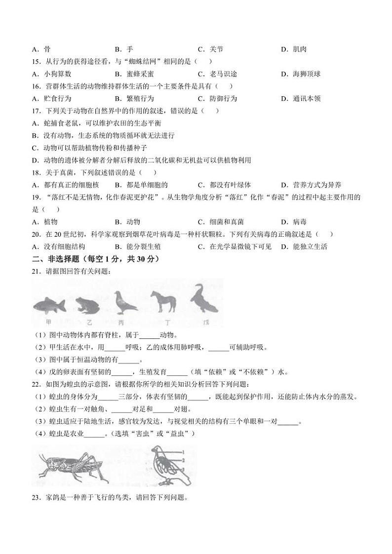 河南省商丘市夏邑县2024～2025学年八年级(上)期中生物试卷(含答案)02