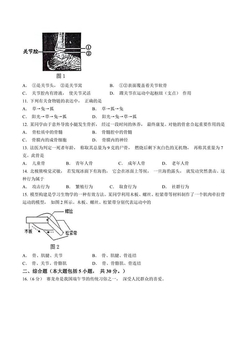 广西壮族自治区河池市宜州区2024～2025学年八年级(上)期中生物试卷(含答案)第2页