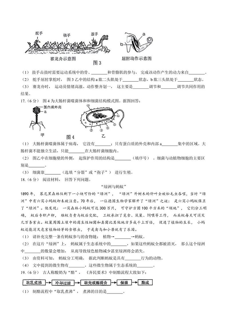 广西壮族自治区河池市宜州区2024～2025学年八年级(上)期中生物试卷(含答案)第3页