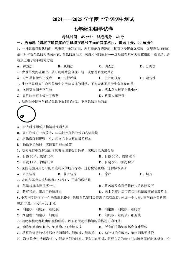 辽宁省丹东市凤城市2024～2025学年七年级(上)期中生物试卷(含答案)01