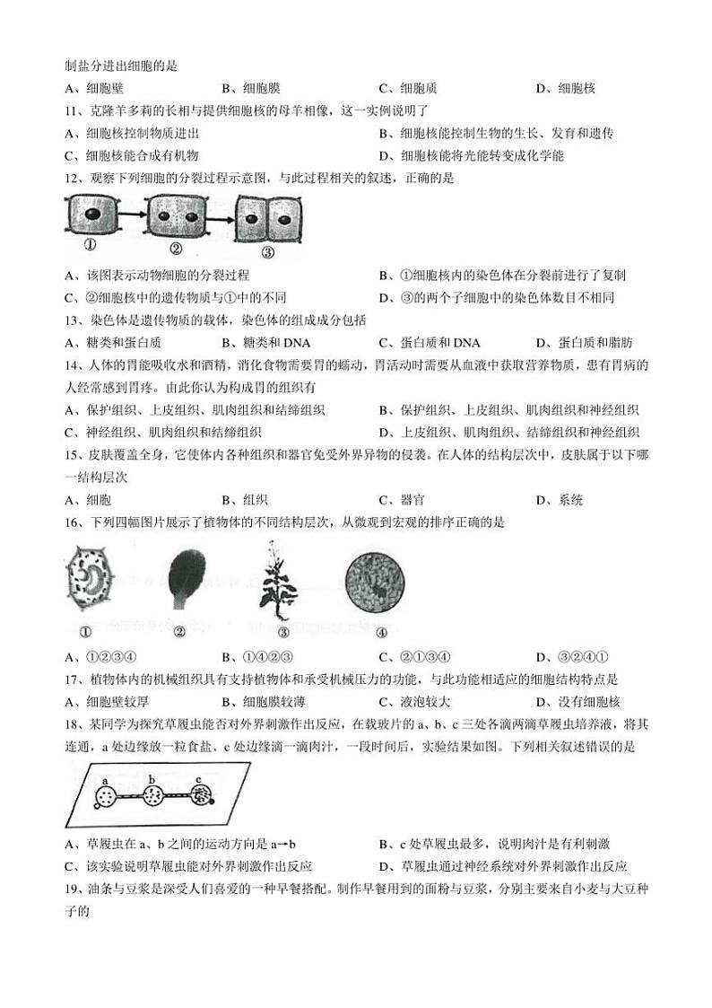 辽宁省丹东市凤城市2024～2025学年七年级(上)期中生物试卷(含答案)02