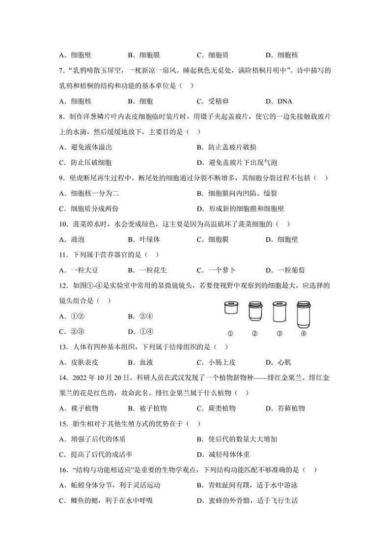四川省内江市第一中学2024～2025学年七年级(上)期中生物试卷(含答案)02