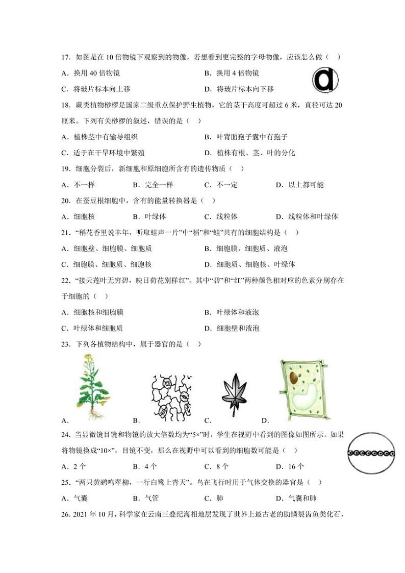 四川省内江市第一中学2024～2025学年七年级(上)期中生物试卷(含答案)03