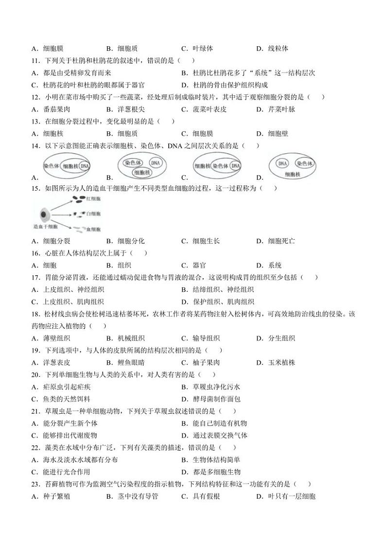 福建省福州市福清市2024～2025学年七年级(上)期中生物试卷(含答案)第2页