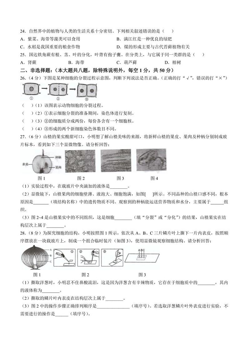 福建省福州市福清市2024～2025学年七年级(上)期中生物试卷(含答案)第3页