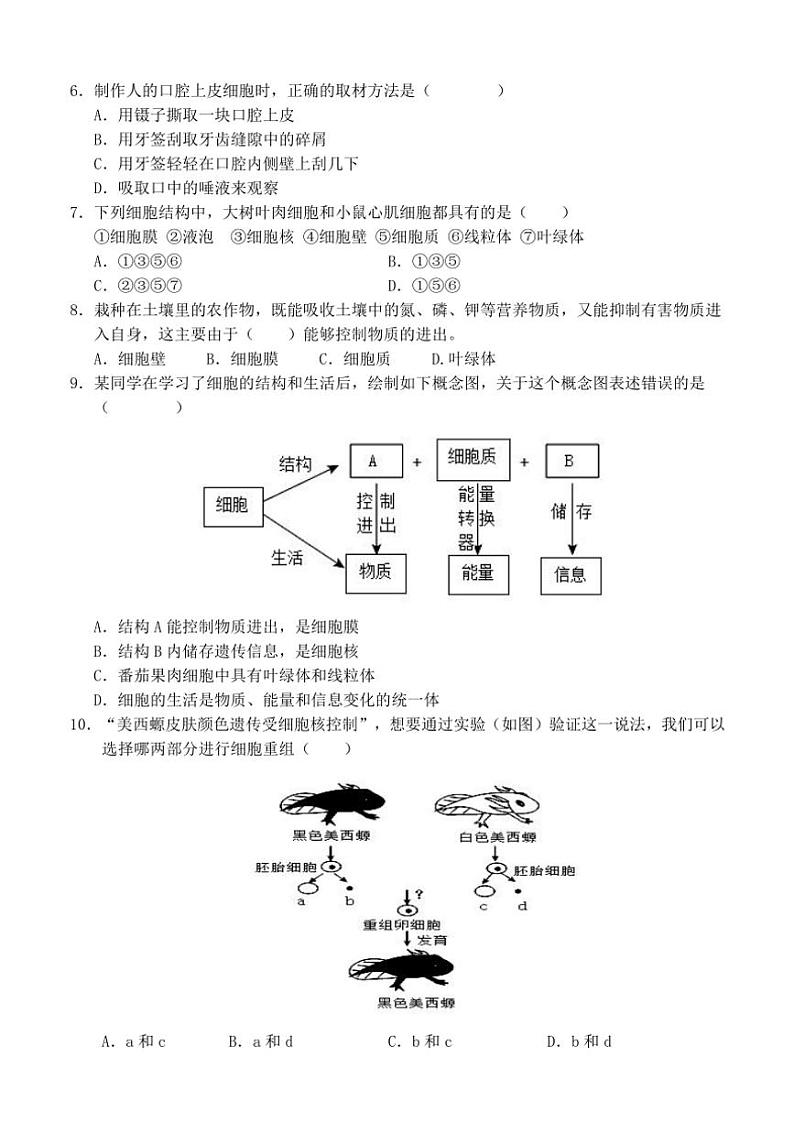 河南省南阳市淅川县2024～2025学年七年级(上)期中阶段调研生物试卷(含答案)02