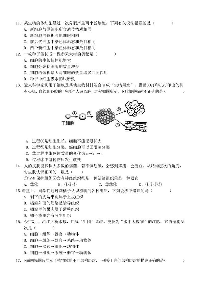 河南省南阳市淅川县2024～2025学年七年级(上)期中阶段调研生物试卷(含答案)03