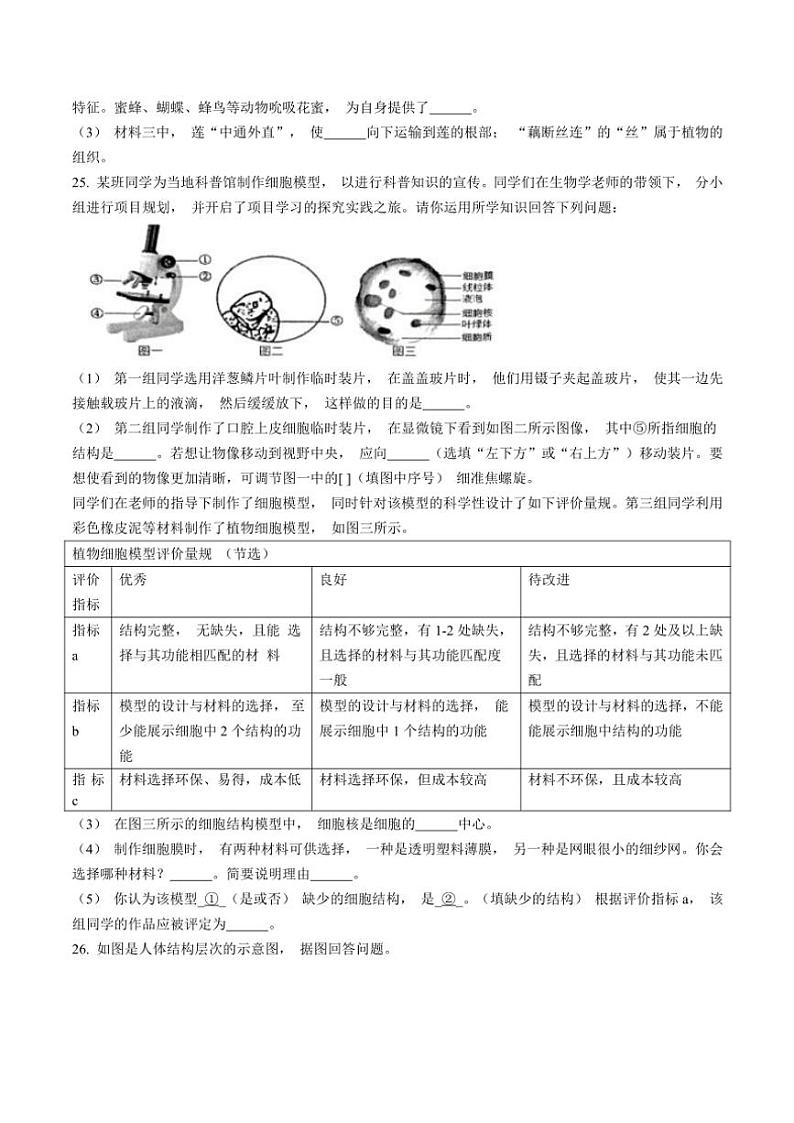 湖北省咸宁市赤壁市2024～2025学年七年级(上)期中生物试卷(含答案)第3页
