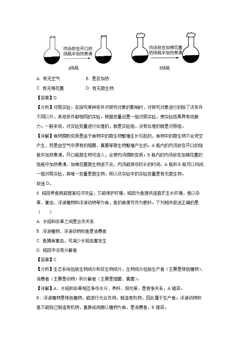 江苏省镇江地区2023-2024学年七年级上学期期中生物试卷（解析版）第3页