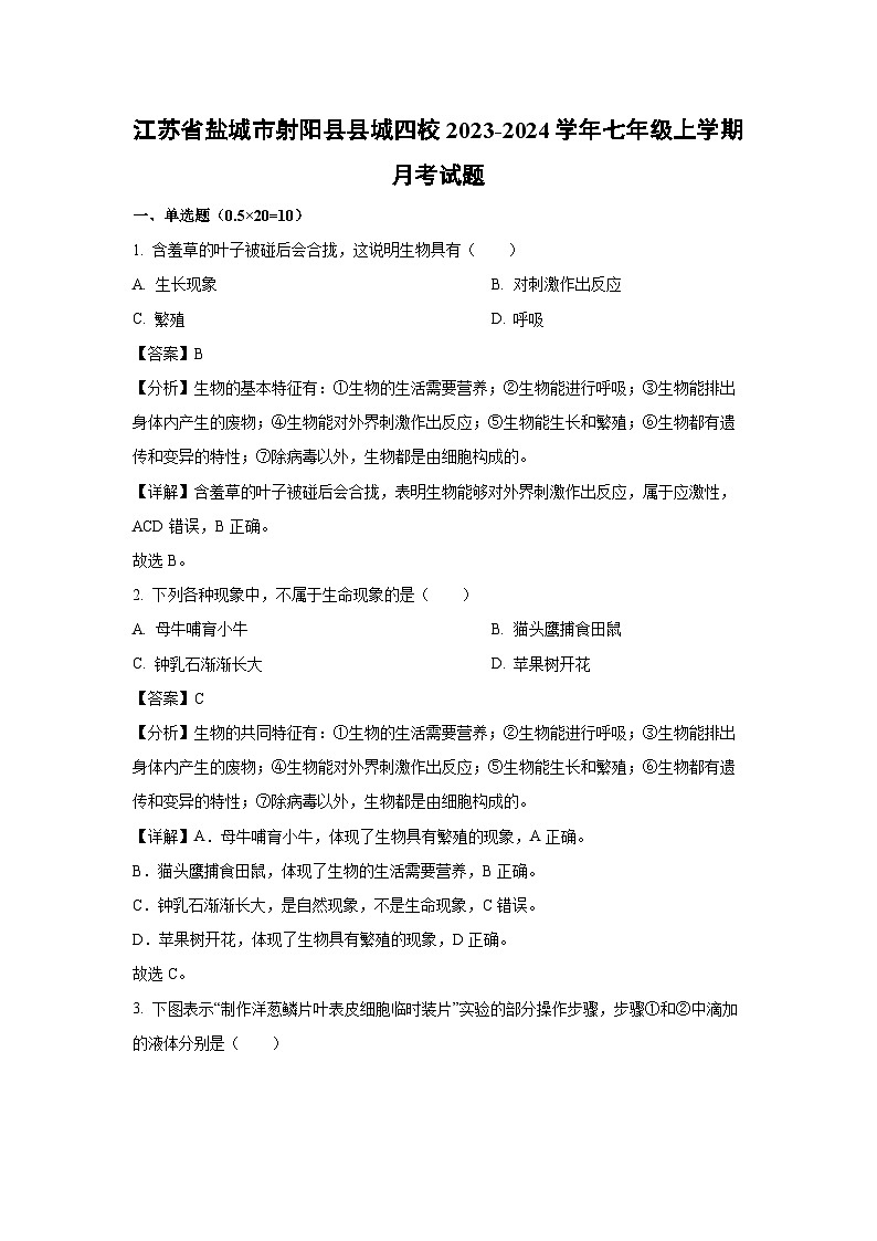 江苏省盐城市射阳县县城四校2023-2024学年七年级上学期月考生物试卷（解析版）第1页