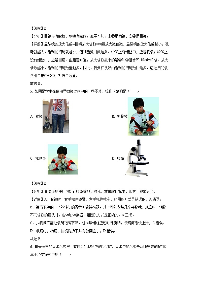 江苏省徐州市2023-2024学年七年级上学期期末生物试卷（解析版）第3页