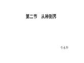 初中  生物  人教版（2024）  七年级上册  第二单元  第四章 第二节 从种到界 课件