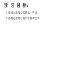 初中  生物  人教版（2024）  七年级上册  第二单元  第四章 第二节 从种到界 课件