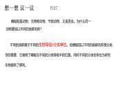 初中  生物  人教版（2024）  七年级上册  第二单元  第四章 第二节 从种到界 课件