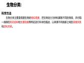 初中  生物  人教版（2024）  七年级上册  第二单元  第四章 第二节 从种到界 课件