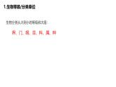 初中  生物  人教版（2024）  七年级上册  第二单元  第四章 第二节 从种到界 课件