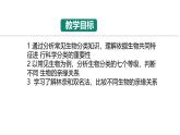 初中  生物  人教版（2024）  七年级上册  第二单元  第四章第二节 从种到界 课件