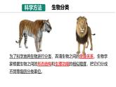 初中  生物  人教版（2024）  七年级上册  第二单元  第四章第二节 从种到界 课件
