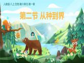 初中  生物  人教版（2024）  七年级上册  第二单元  第四章第二节 从种到界 课件