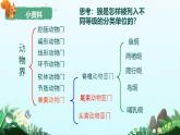初中  生物  人教版（2024）  七年级上册  第二单元  第四章第二节 从种到界 课件
