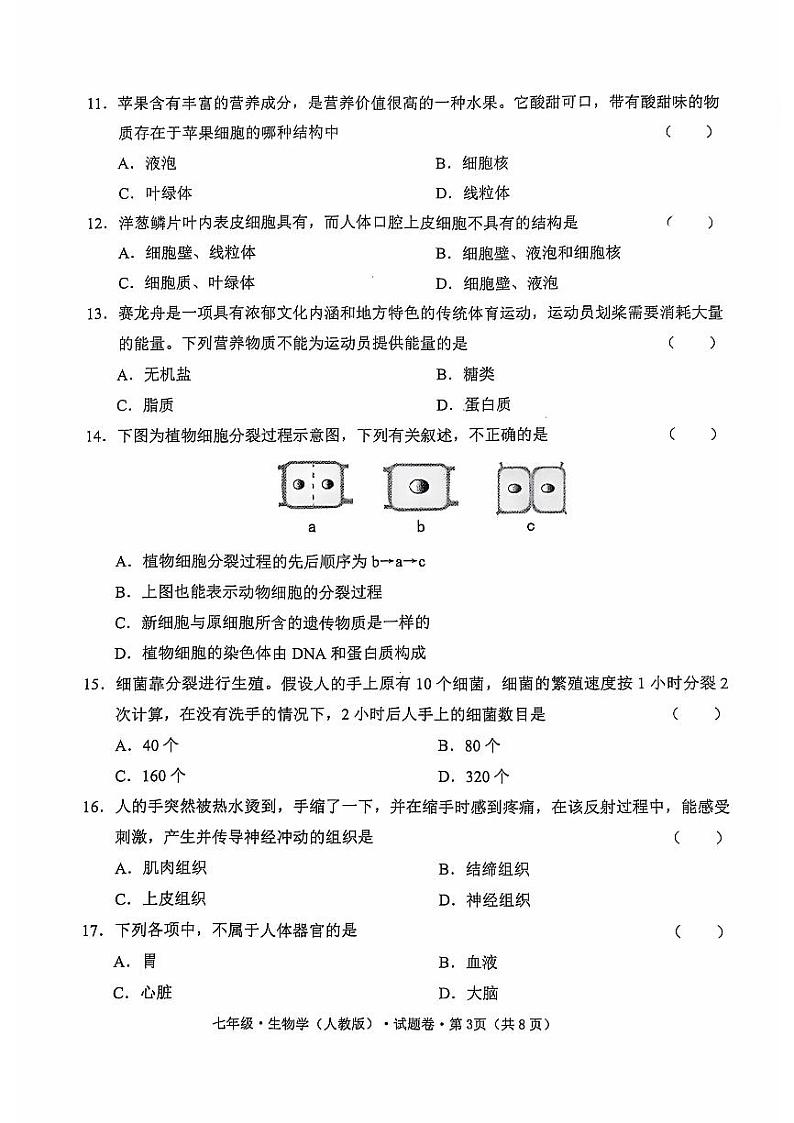 云南省昭通市绥江县2024-2025学年七年级上学期11月期中生物试题03
