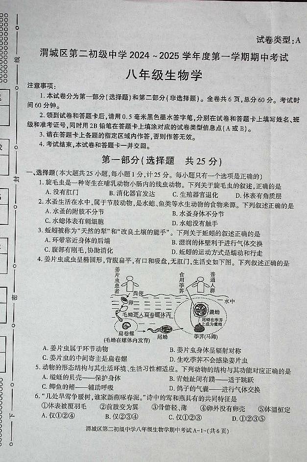 陕西省咸阳市渭城区第二初级中学2024-2025学年八年级上学期期中考试生物试卷第1页