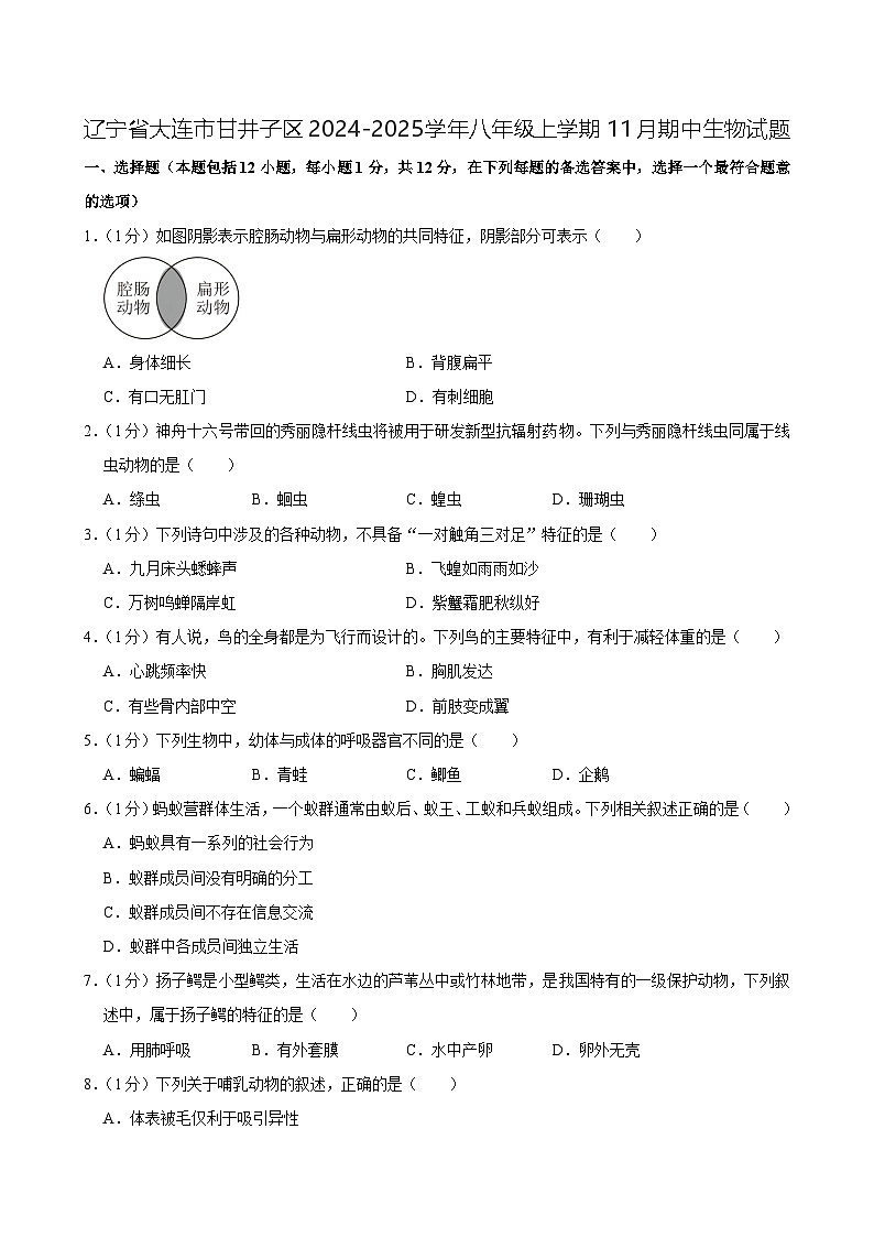 辽宁省大连市甘井子区2024-2025学年八年级上学期11月期中考试生物试题01