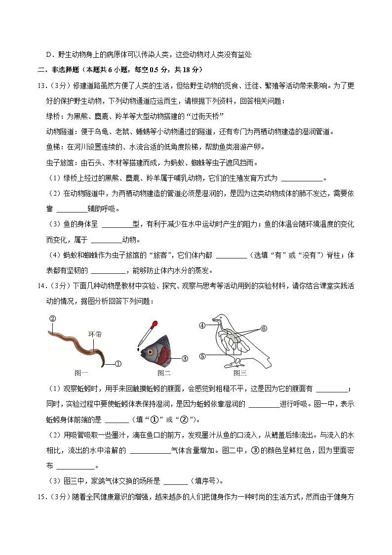 辽宁省大连市甘井子区2024-2025学年八年级上学期11月期中考试生物试题03