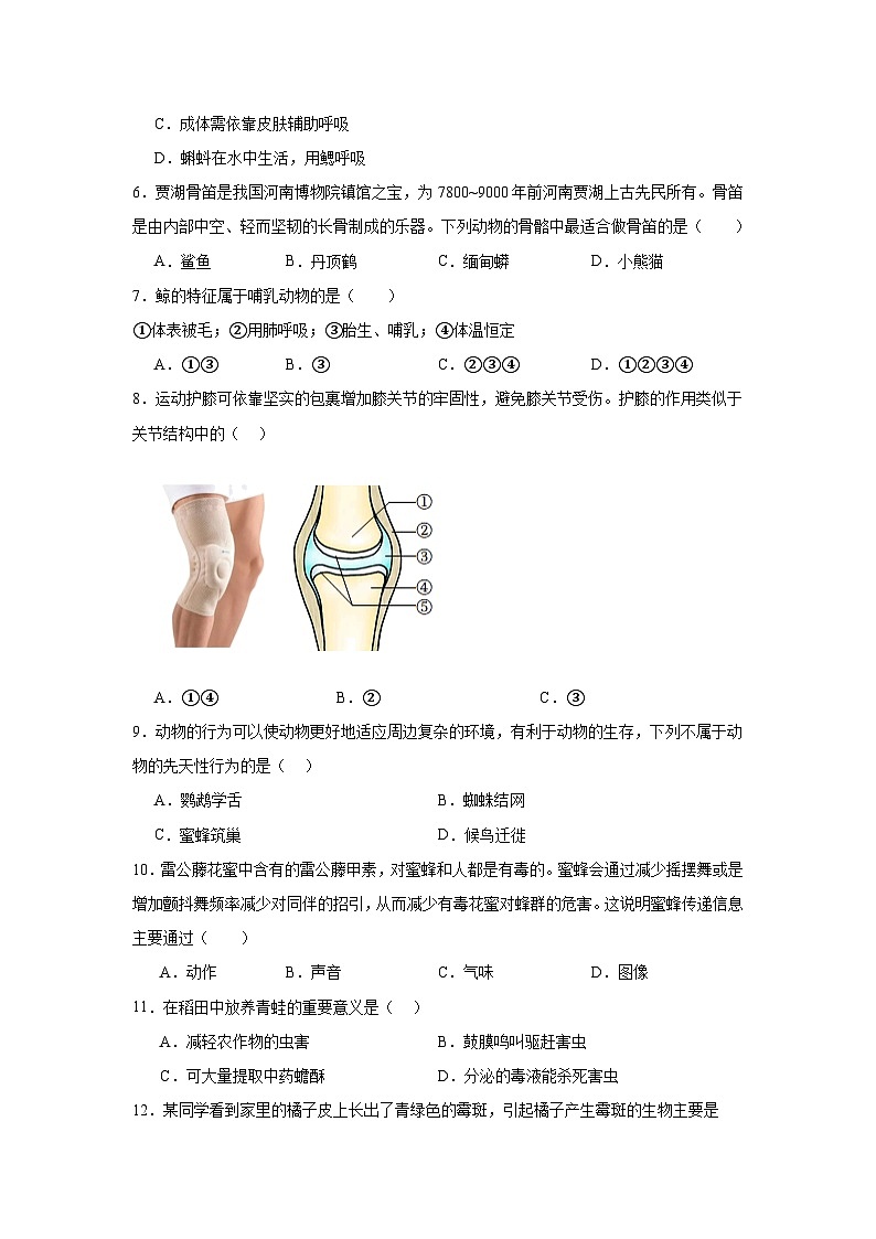 齐齐哈尔市区五地2024-2025学年八年上学期11月联考生物试卷第2页