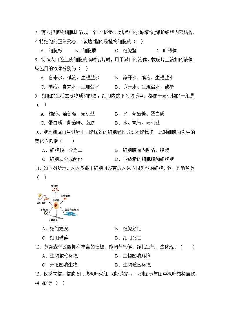 齐齐哈尔市区2024-2025学年度上学期11月联考生物试卷第2页