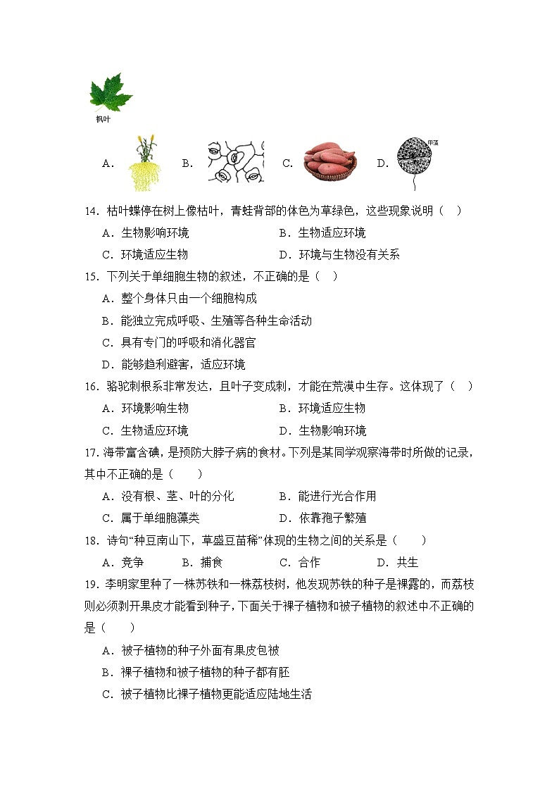 齐齐哈尔市区2024-2025学年度上学期11月联考生物试卷第3页