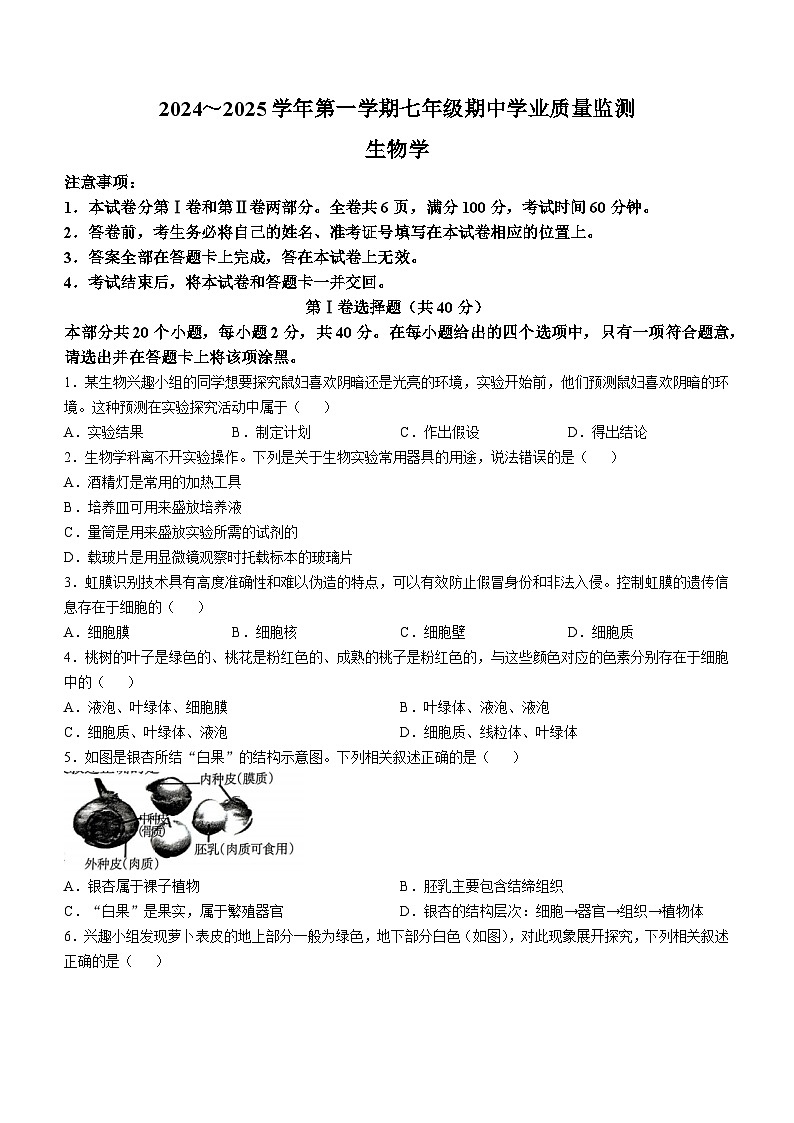 山西省运城市实验中学2024-2025学年七年级上学期期中生物学试题第1页