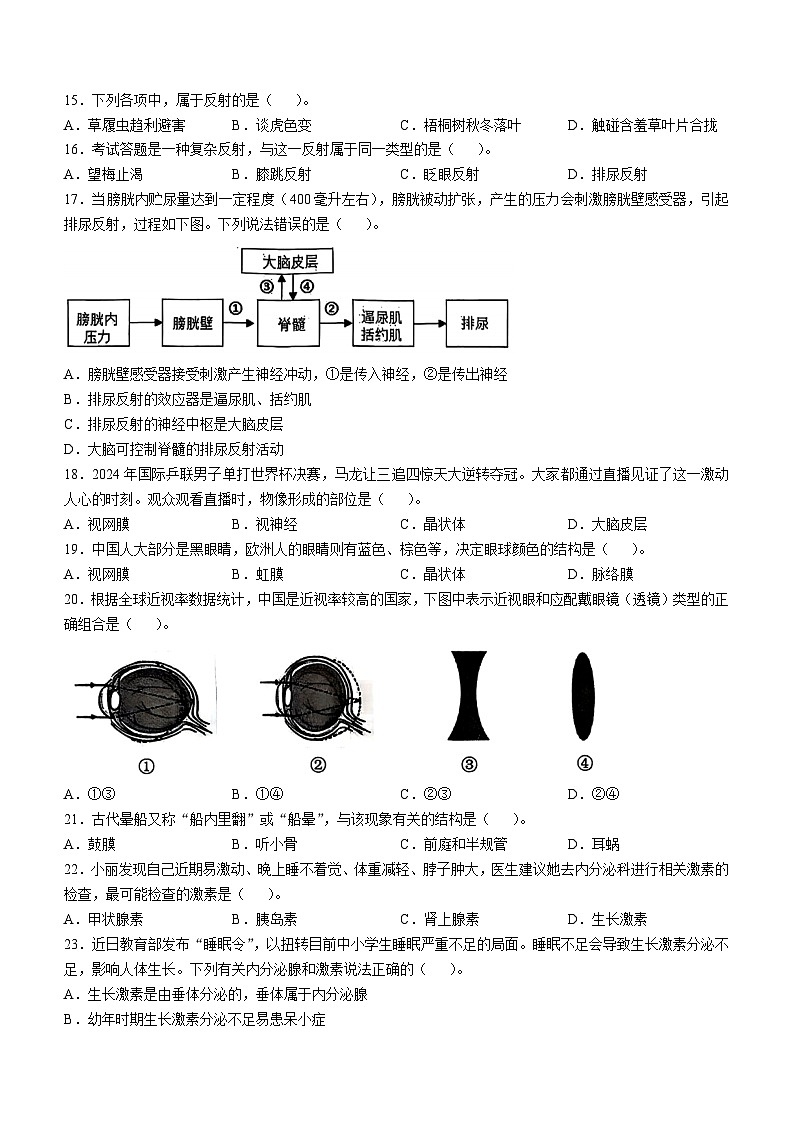 江苏省泰州市医药高新区（高港区）2024-2025学年八年级上学期期中生物试题(无答案)03