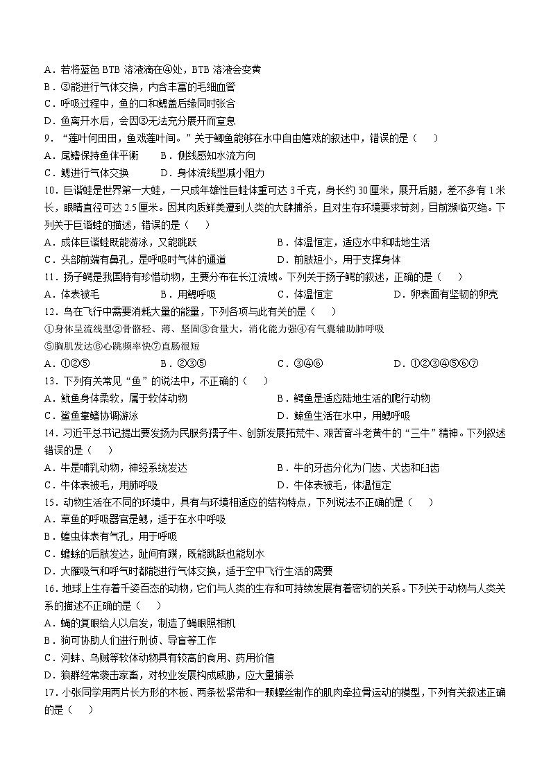 甘肃省定西市临洮县2024-2025学年八年级上学期期中生物学试题第2页