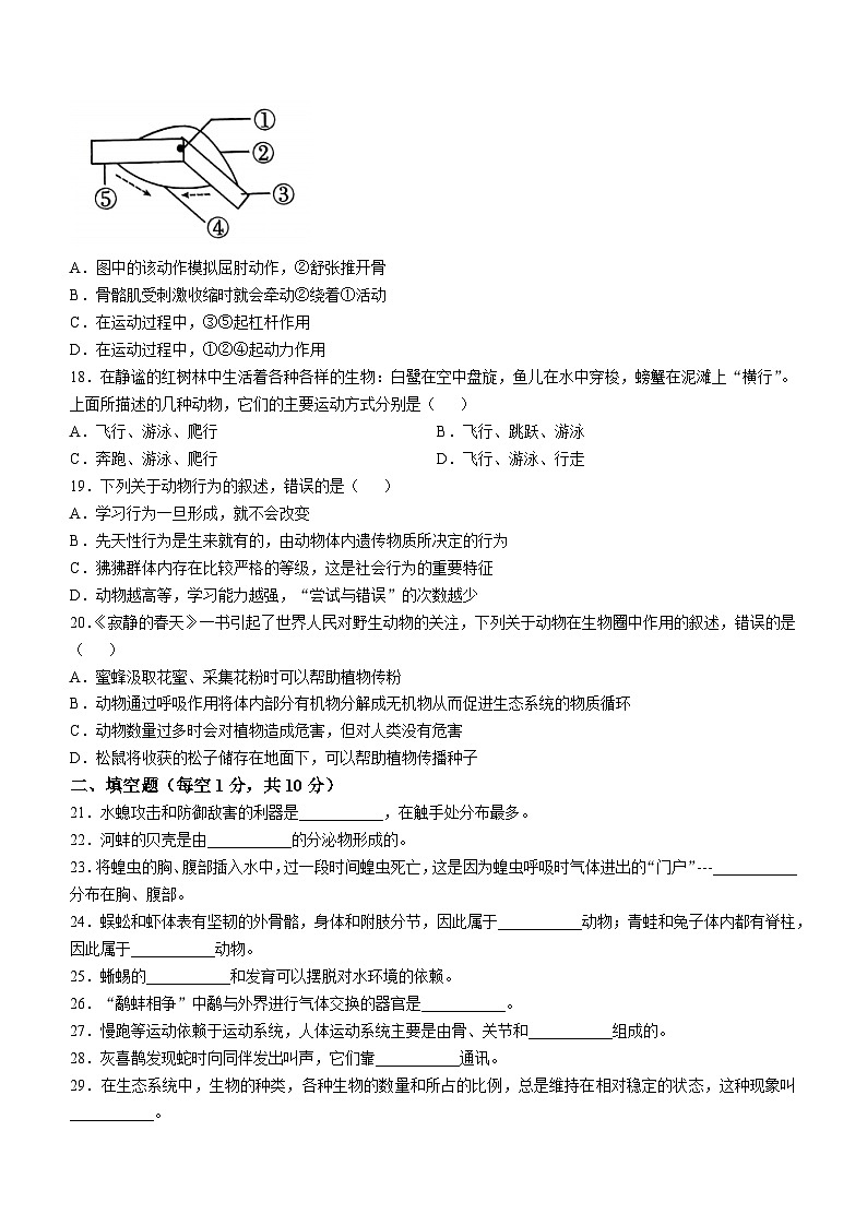 甘肃省定西市临洮县2024-2025学年八年级上学期期中生物学试题第3页